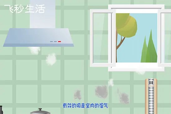 墙壁发霉怎么处理