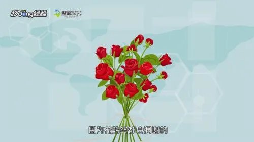 情人节怎么安排