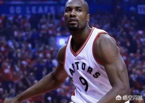 目前猛龙、雄鹿、鹈鹕，你更看好哪只队伍？为什么？