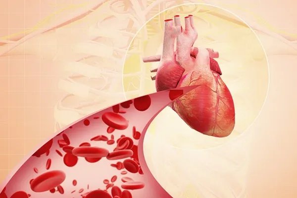 绿豆汤的作用与功效