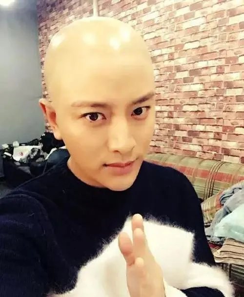 国内外有哪些明星秃头了依然很帅的？