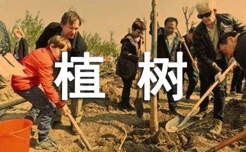 植树造林公益活动宣传标语
