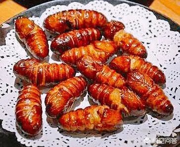 你吃过最稀奇古怪的东西是什么？让你回想起来回味无穷或者恐怖的终生难忘？