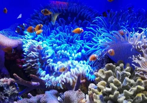 上海适合孩子玩的地方在哪里？