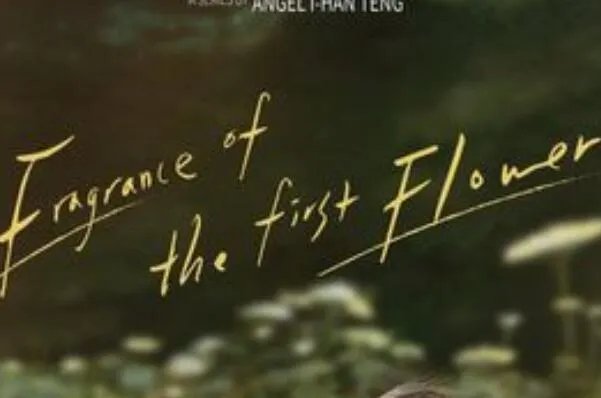 豆瓣2021评分最高港台剧集-tvb豆瓣评分最高的剧