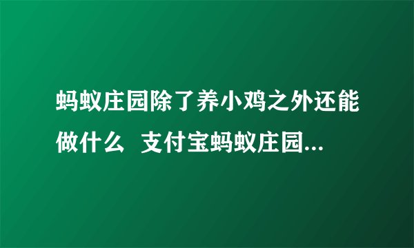 蚂蚁庄园除了养小鸡之外还能做什么  支付宝蚂蚁庄园养鸡的同时还能干嘛