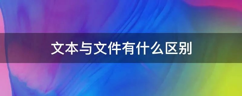 文本与文件有什么区别