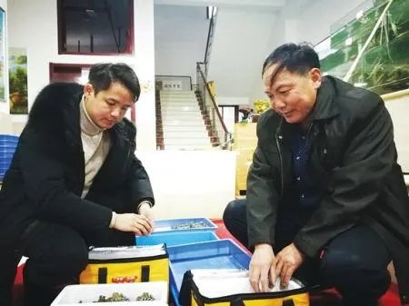 放弃高薪卖螃蟹是怎么回事 放弃高薪卖螃蟹？