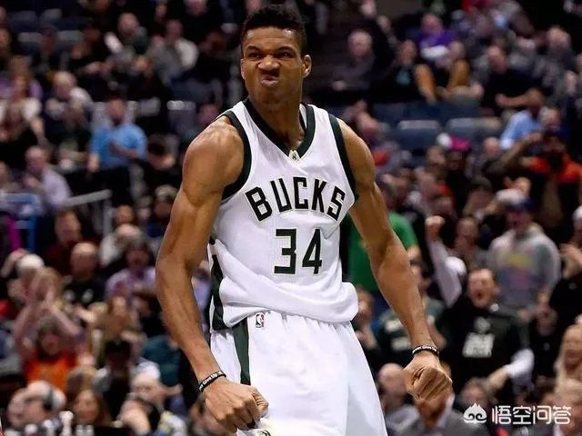 目前猛龙、雄鹿、鹈鹕，你更看好哪只队伍？为什么？