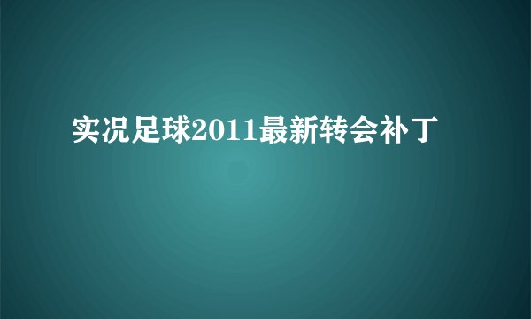 实况足球2011最新转会补丁