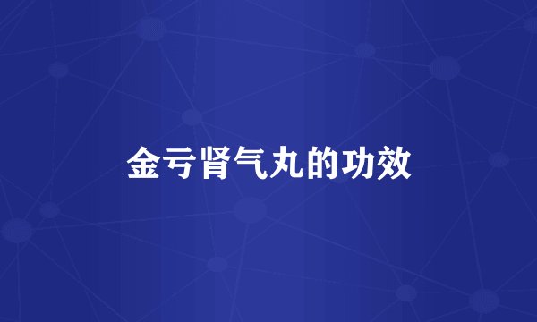 金亏肾气丸的功效