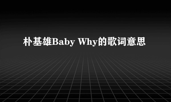 朴基雄Baby Why的歌词意思