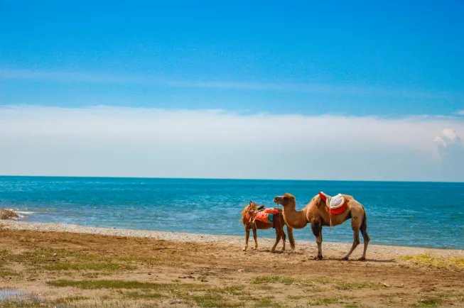 日历上的末伏是什么意思 末伏有什么含义