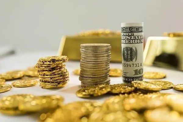 全球最大霸王龙化石拍出天价，化石文物为啥可以拍卖？