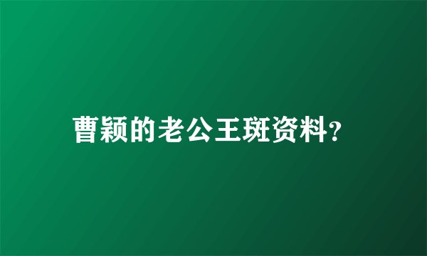 曹颖的老公王斑资料？