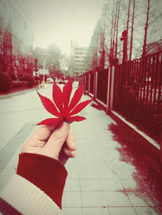 2019年只剩最后一天了，一起来说说你2020年的愿望是什么？