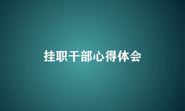 挂职干部心得体会