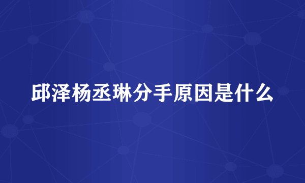 邱泽杨丞琳分手原因是什么