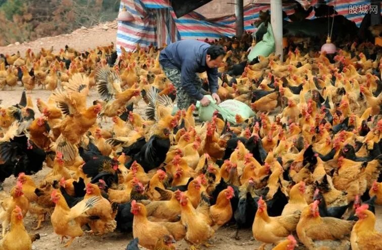 农村致富小项目大全 2018农村不起眼的商机