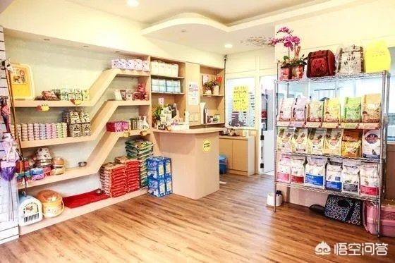 学宠物美容以后就可以自己开店吗？有哪些建议？