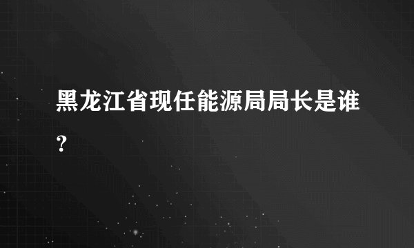 黑龙江省现任能源局局长是谁？
