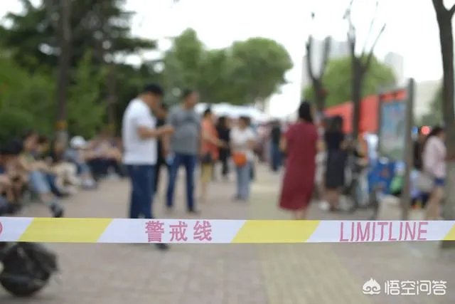 2019年山东高考人数有多少?