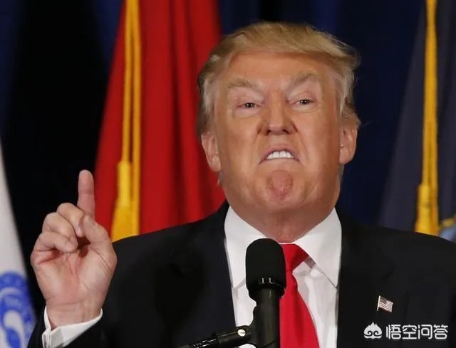 在2020年的美国总统竞选中,特朗普的最强对手还会是希拉里吗?