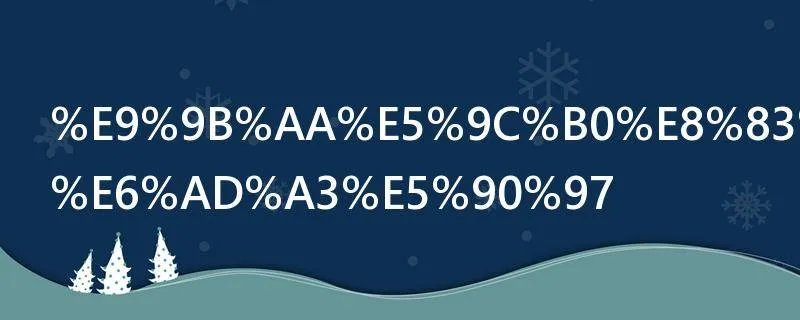 雪地胎有反正吗