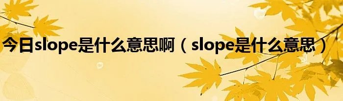 今日slope是什么意思啊（slope是什么意思）