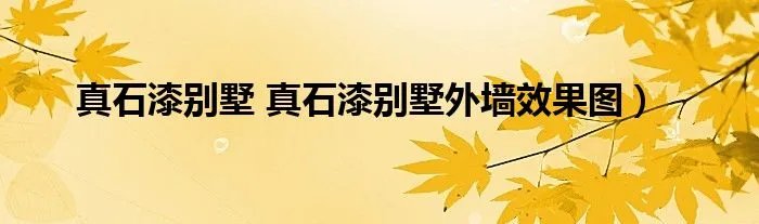 真石漆别墅 真石漆别墅外墙效果图）