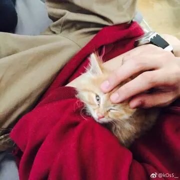 大型偶像养成类综艺《明日之子》里你最喜欢哪个选手?