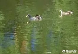 十堰有哪些酒文化?