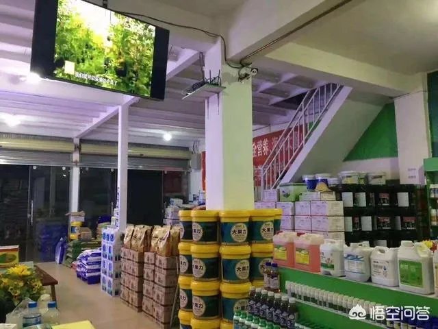 2019年复合肥价格行情走势如何，农民是在春节前购买，还是春节后备耕？