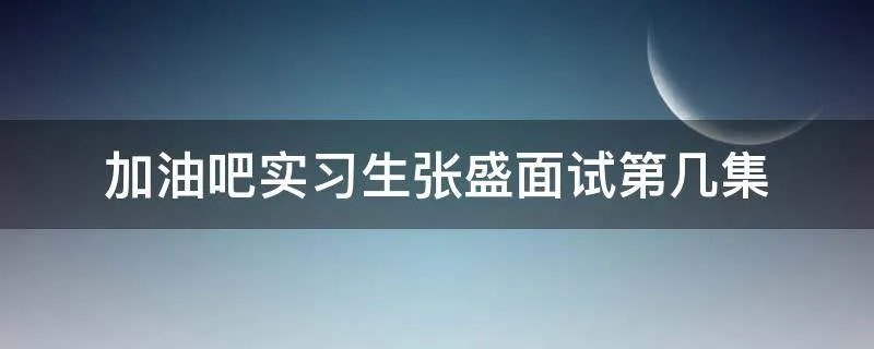 加油吧实习生张盛面试第几集
