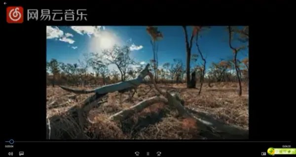 电脑怎么下载mp4格式的视频