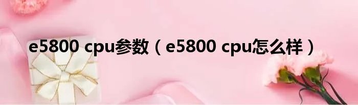 e5800 cpu参数（e5800 cpu怎么样）