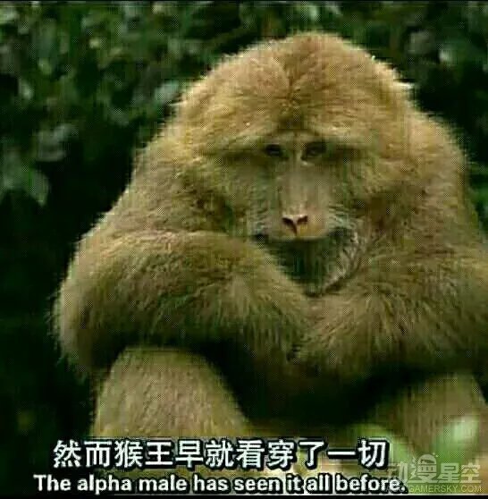 超越doge的精神污染!“沼跃鱼”表情爆红之谜