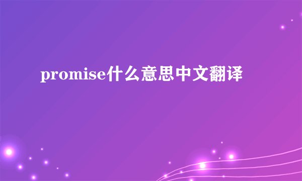 promise什么意思中文翻译
