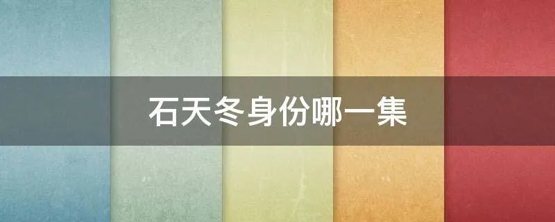 石天冬身份哪一集