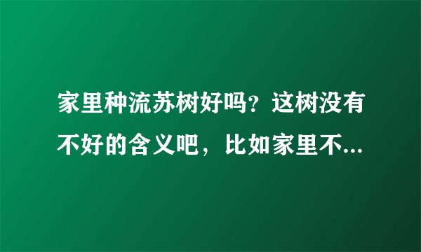 家里种流苏树好吗？这树没有不好的含义吧，比如家里不种松树桃树？