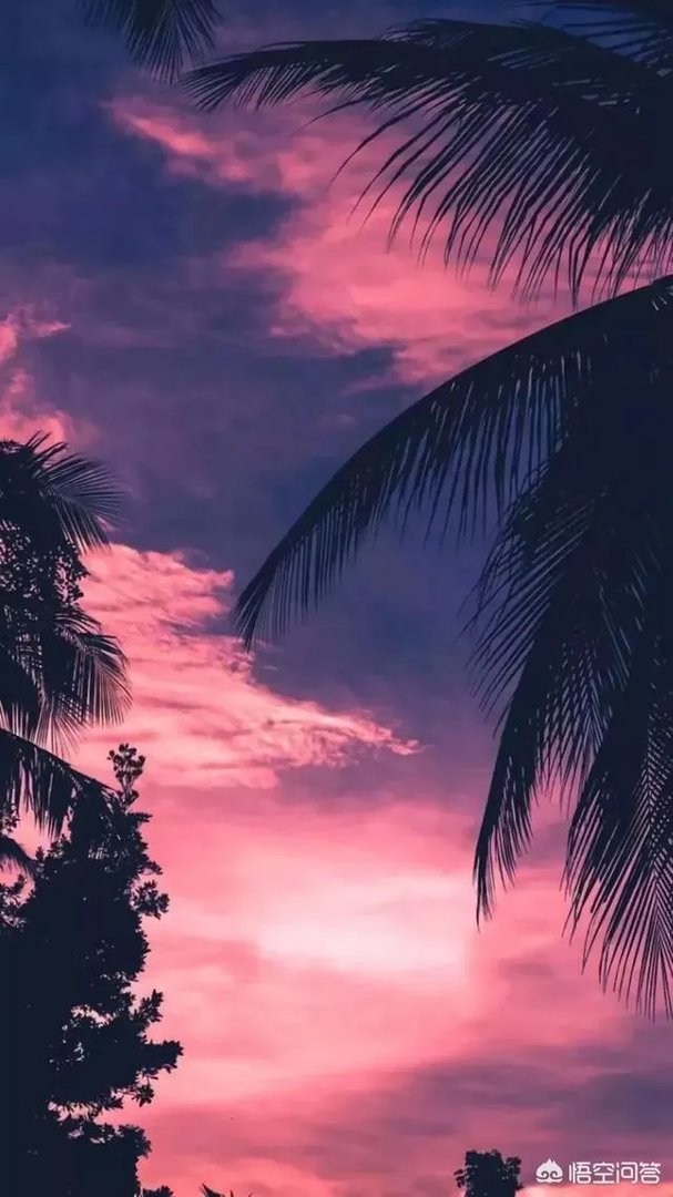 有啥好的心理网站可以去学学心理知识?