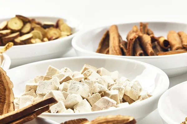 铁树一叶的功效与作用