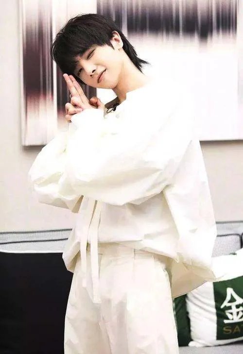 樊博艺称节目结束后没见过华晨宇，华晨宇都和哪些女明星传过绯闻？