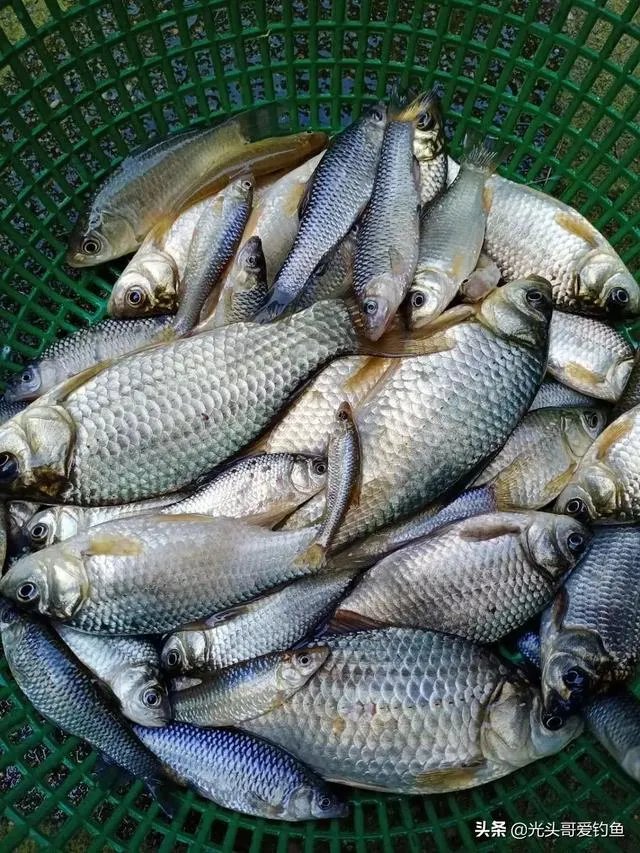 户外钓鱼直播怎么做？