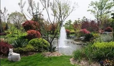 代表建议全面取消经营性公墓