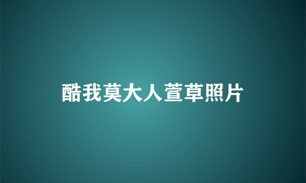 酷我莫大人萱草照片