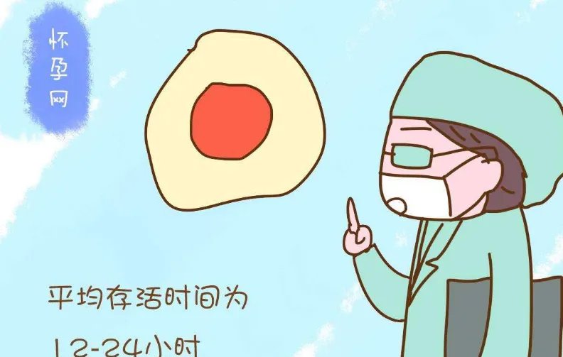 17岁少女1.5万卖卵子险丧命，卵巢糜烂子宫不保，如何警惕此类陷阱？