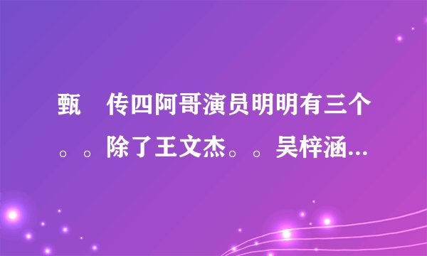 甄嬛传四阿哥演员明明有三个。。除了王文杰。。吴梓涵。。还有一个是谁