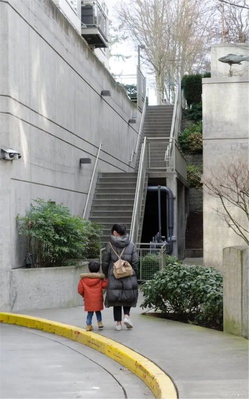 羽绒服里面的填充物是灰鸭绒好还是白鸭绒好