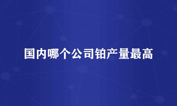 国内哪个公司铂产量最高